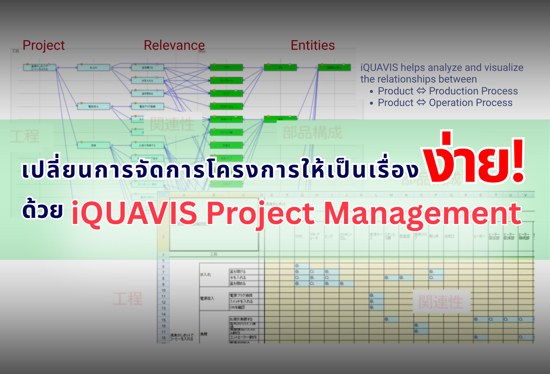 iQUAVIS Project Management