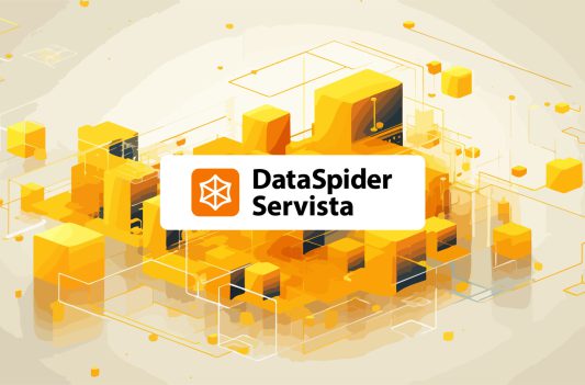 dataspider-cover-01