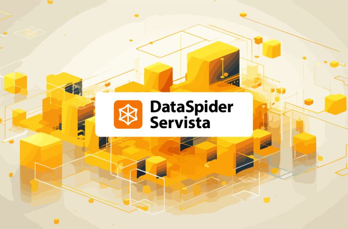 dataspider-cover-01